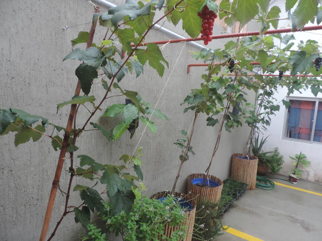 Morada Da Marta Hotel Guarda do Embau Ngoại thất bức ảnh