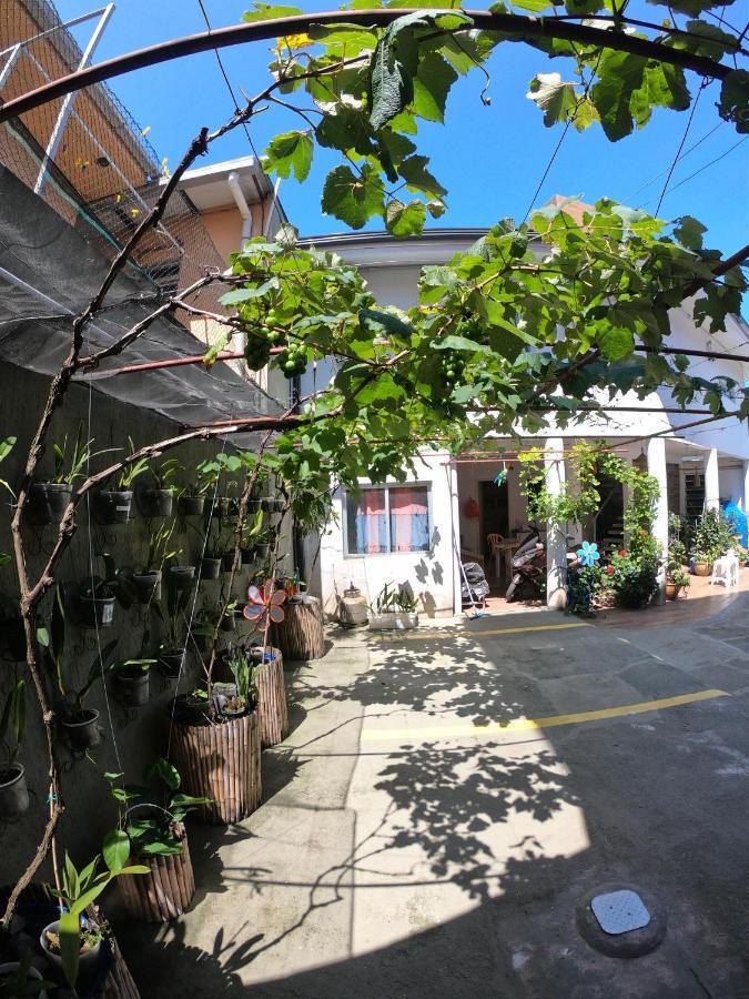 Morada Da Marta Hotel Guarda do Embau Ngoại thất bức ảnh